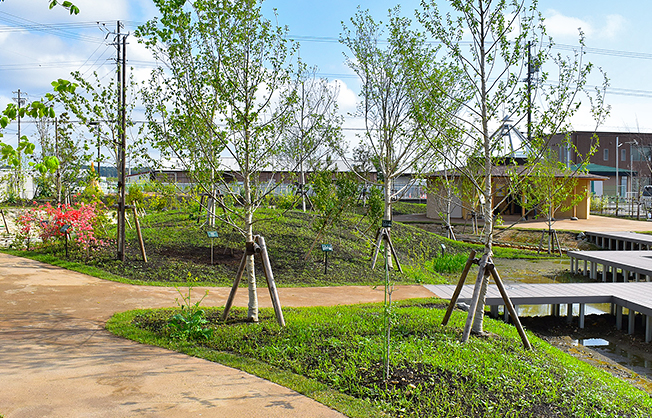 ビオトープの写真