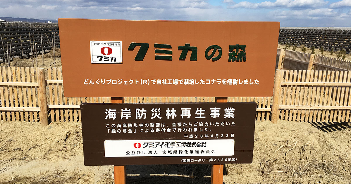 どんぐりプロジェクト®／サステナビリティ│クミアイ化学工業株式会社