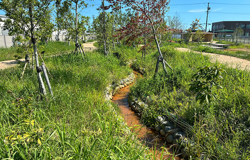 ホタル舞うせせらぎの写真