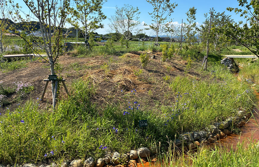 遠州の里山の写真