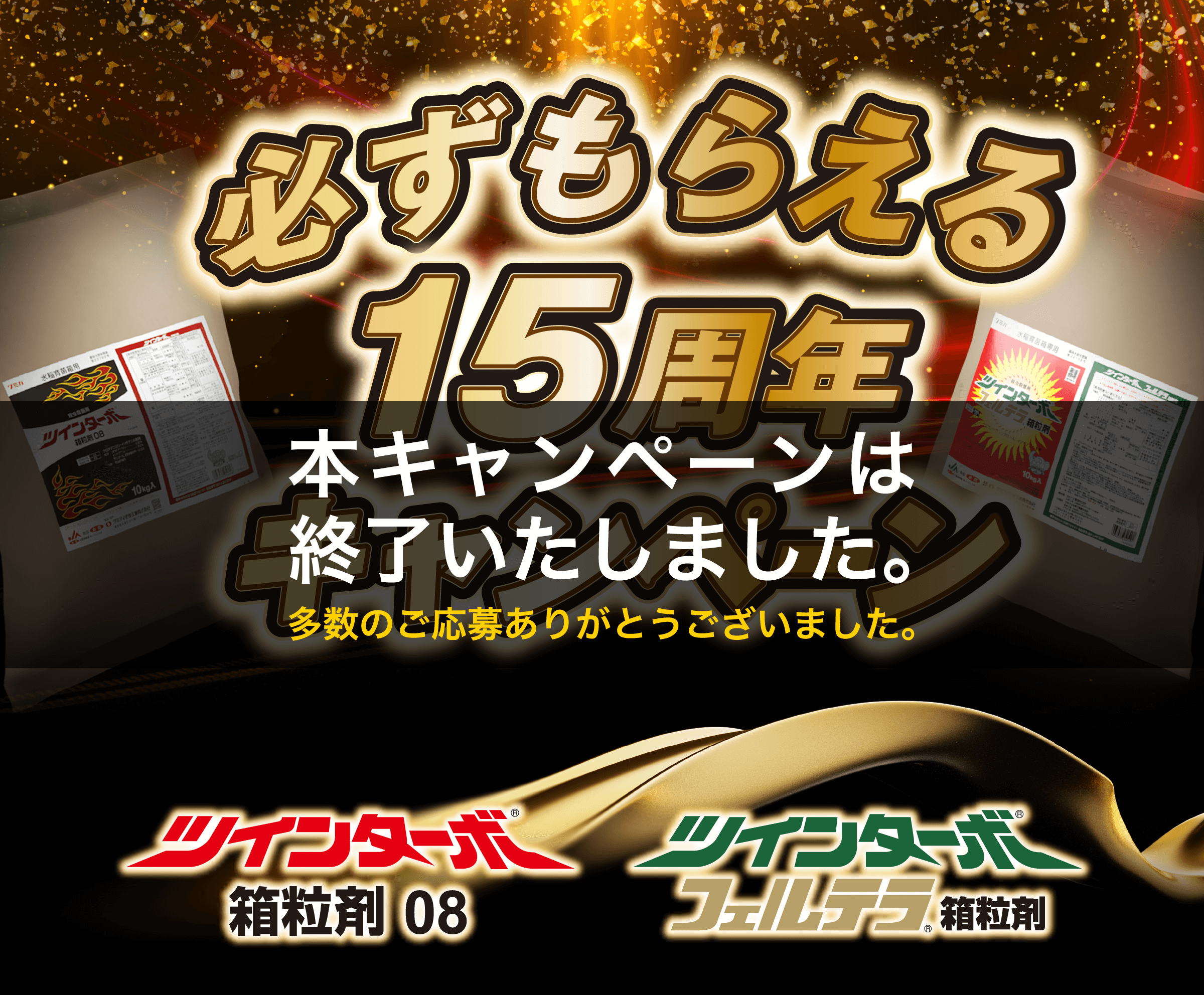 ツインターボ  15周年キャンペーン 終了